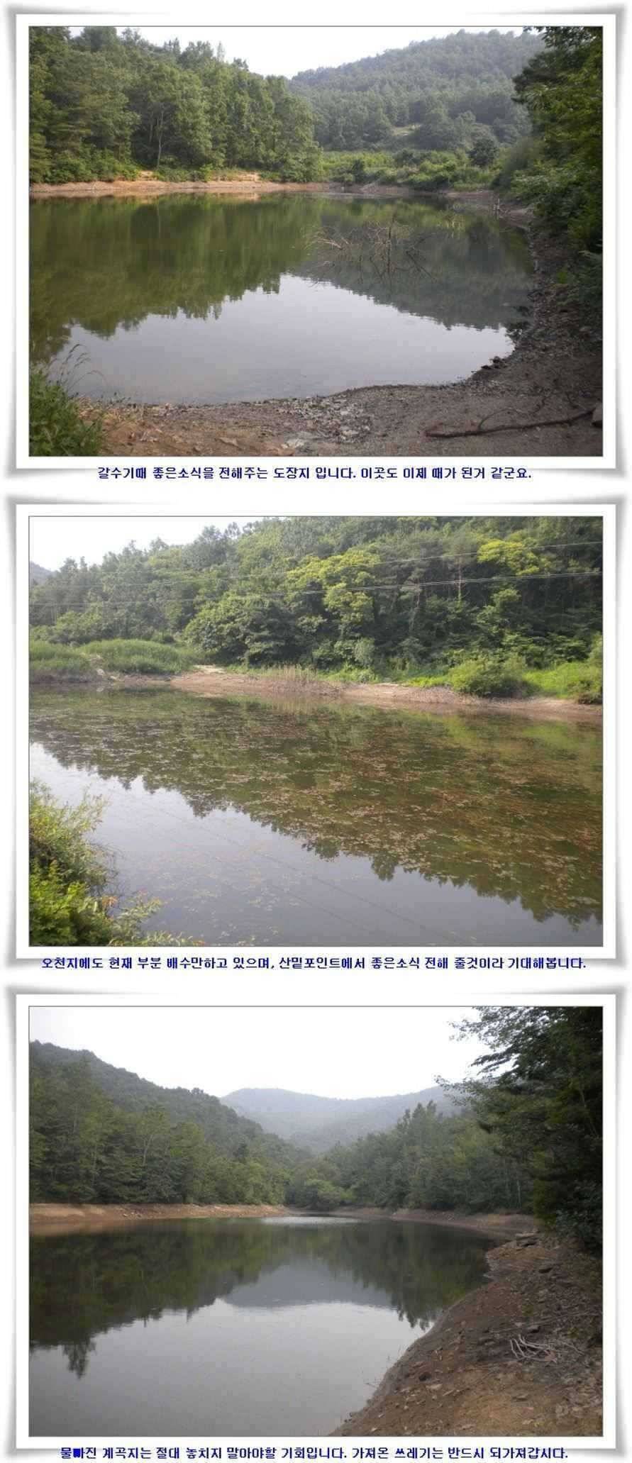 준 월척 마릿수조황 (조황조행기 - 특파원조황)
