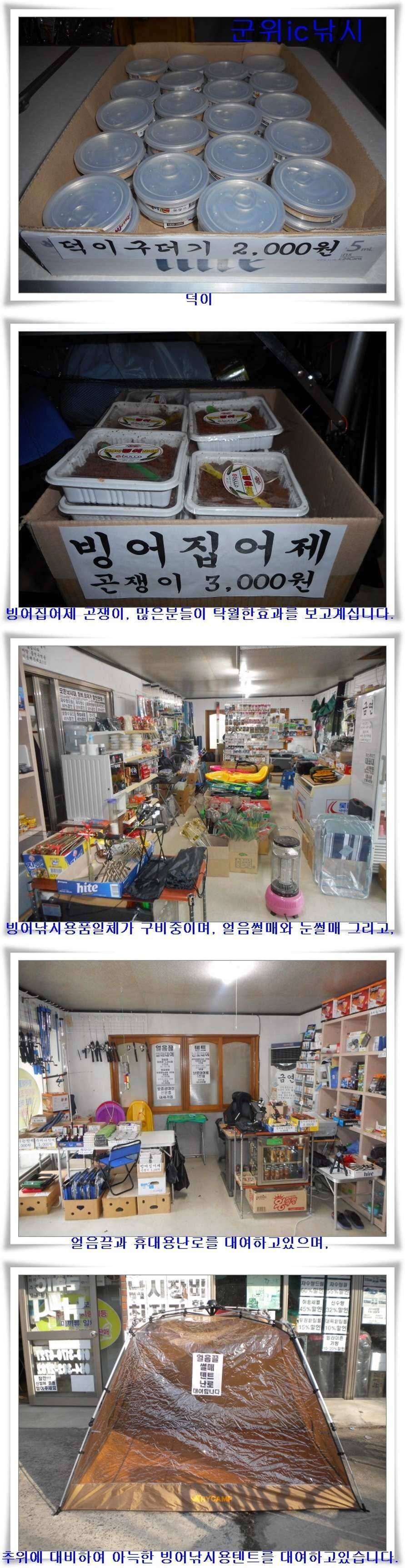 내의지 빙어 호조황 (조황조행기 - 특파원조황)