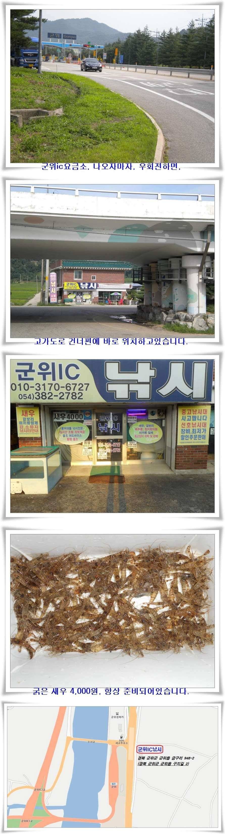 산란특수 대박시작 (조황조행기 - 특파원조황)