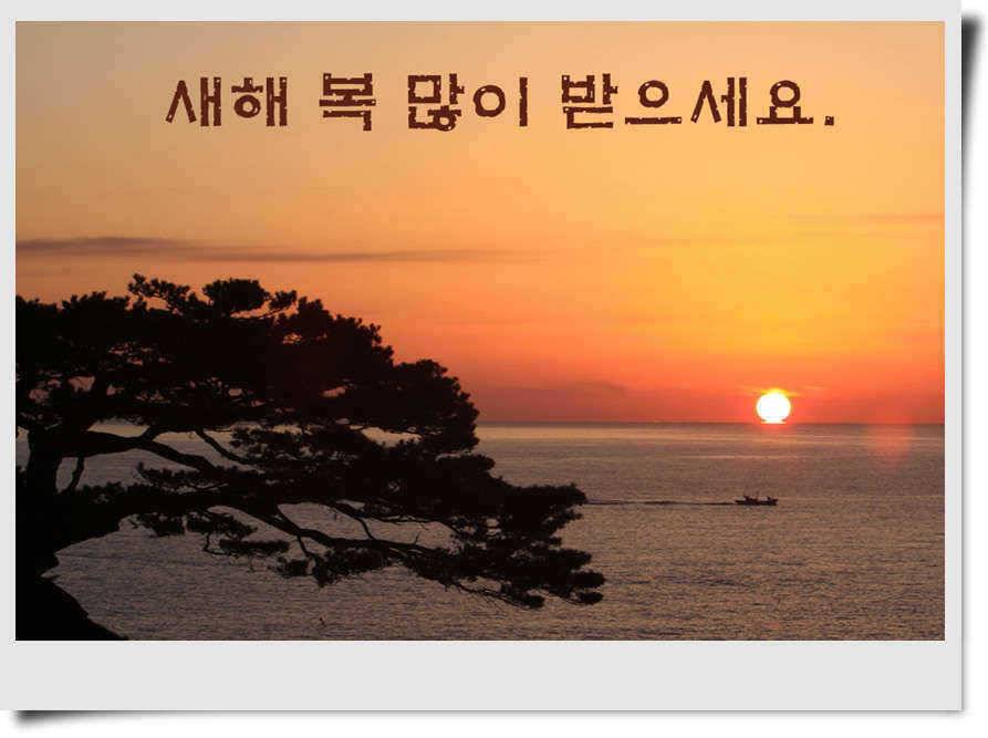 새해 첫인사 드립니다 (조황조행기 - 특파원조황)