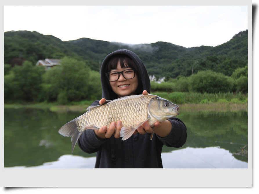 변화무쌍한 충주호 (조황조행기 - 특파원조황)