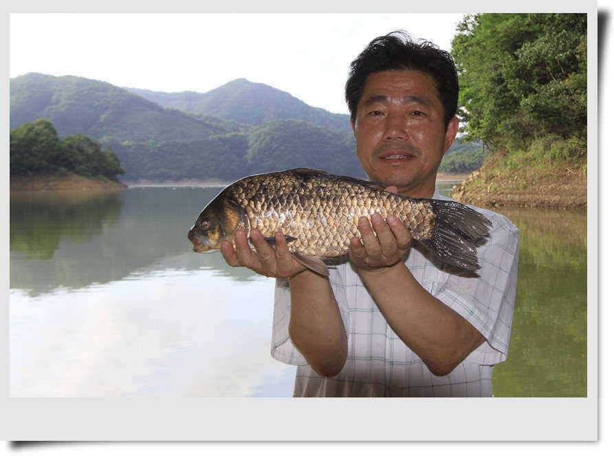 대물입질이 살아나고 44cm (조황조행기 - 특파원조황)