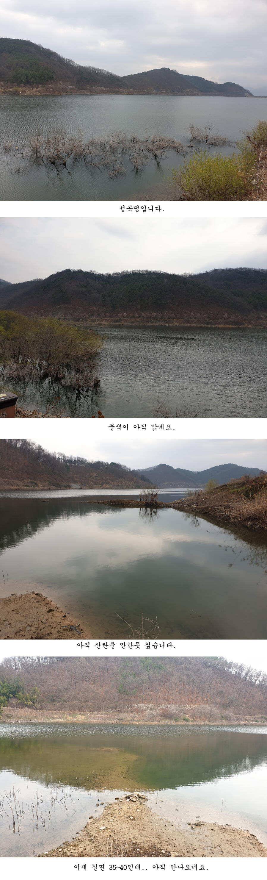 청도권 오짜 출몰 (조황조행기 - 특파원조황)