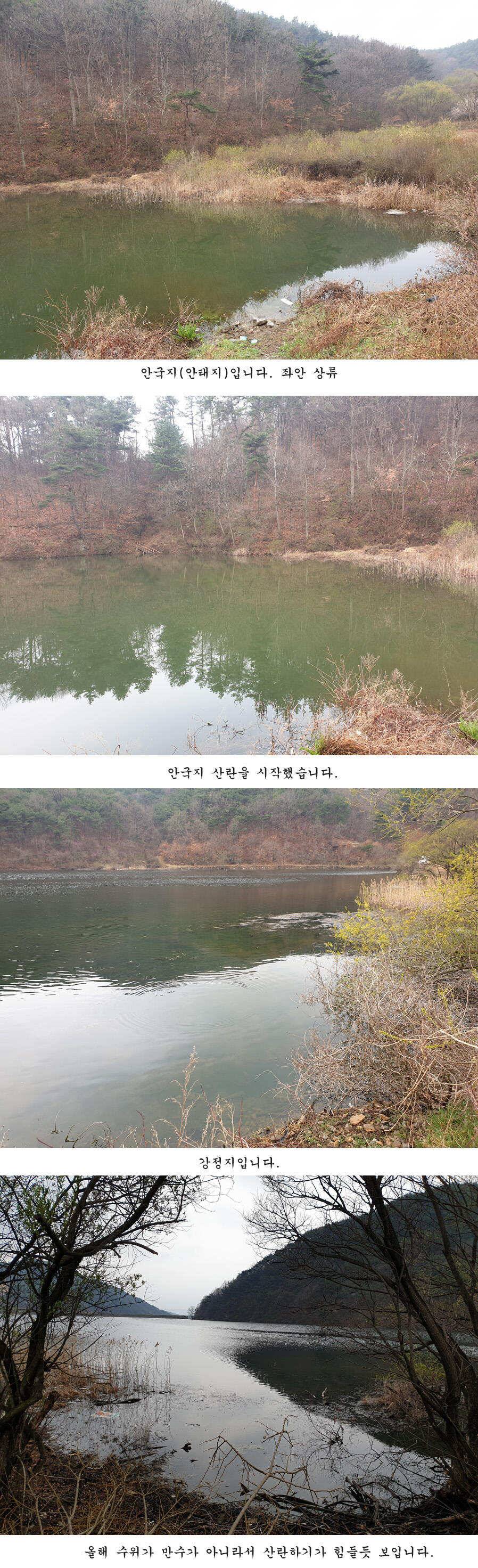 청도권 오짜 출몰 (조황조행기 - 특파원조황)