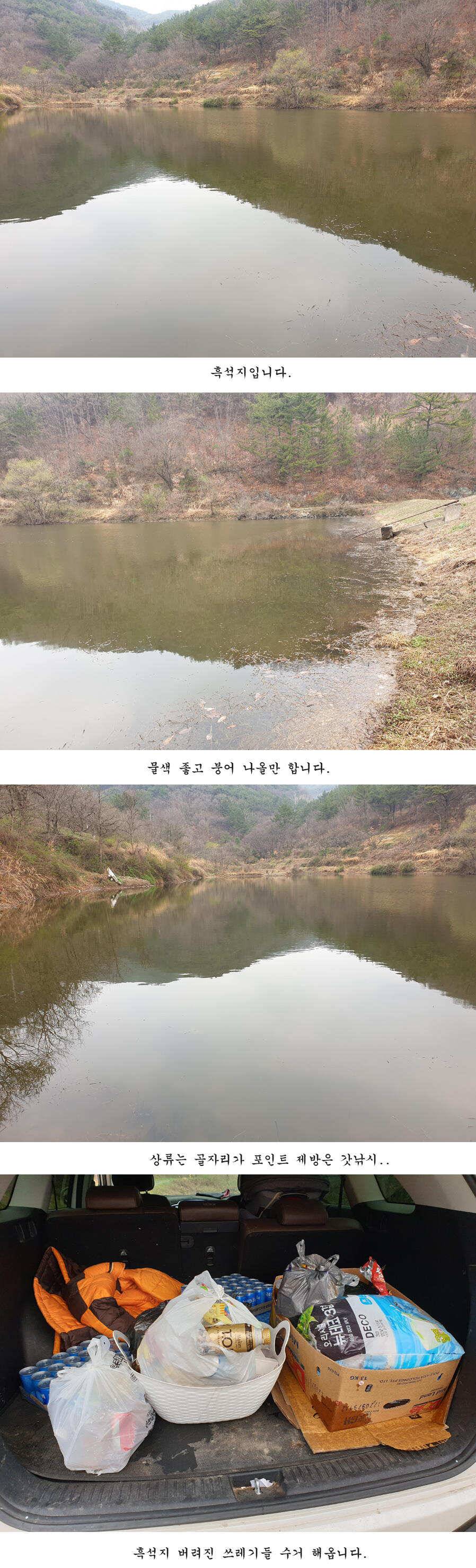 청도권 오짜 출몰 (조황조행기 - 특파원조황)