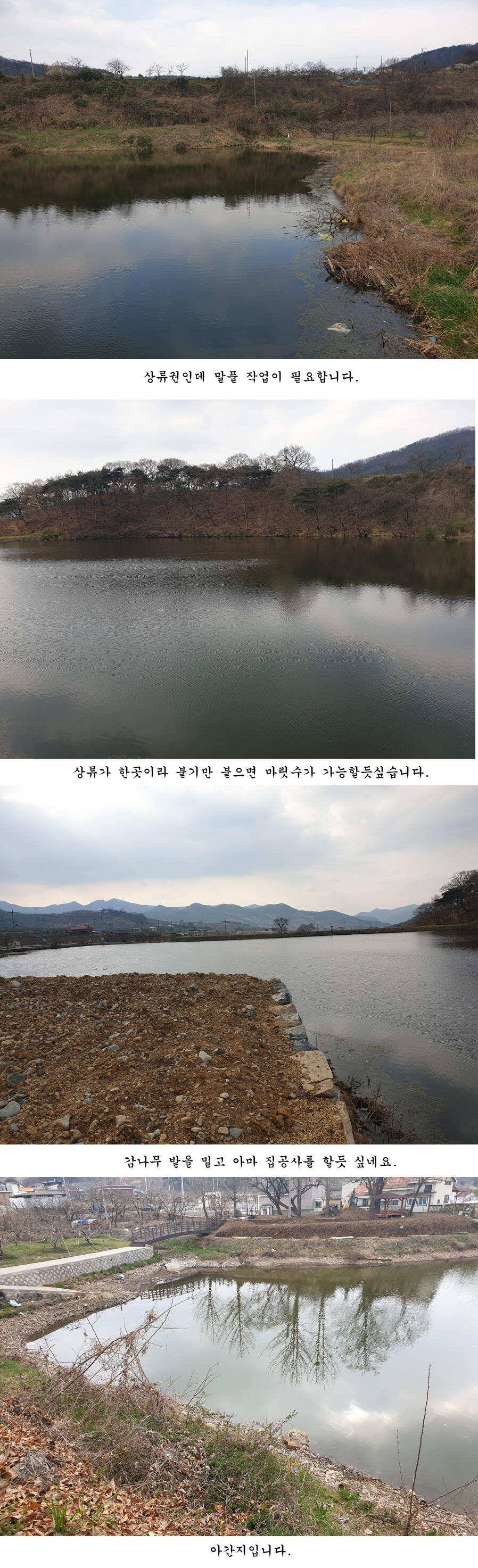 청도권 오짜 출몰 (조황조행기 - 특파원조황)