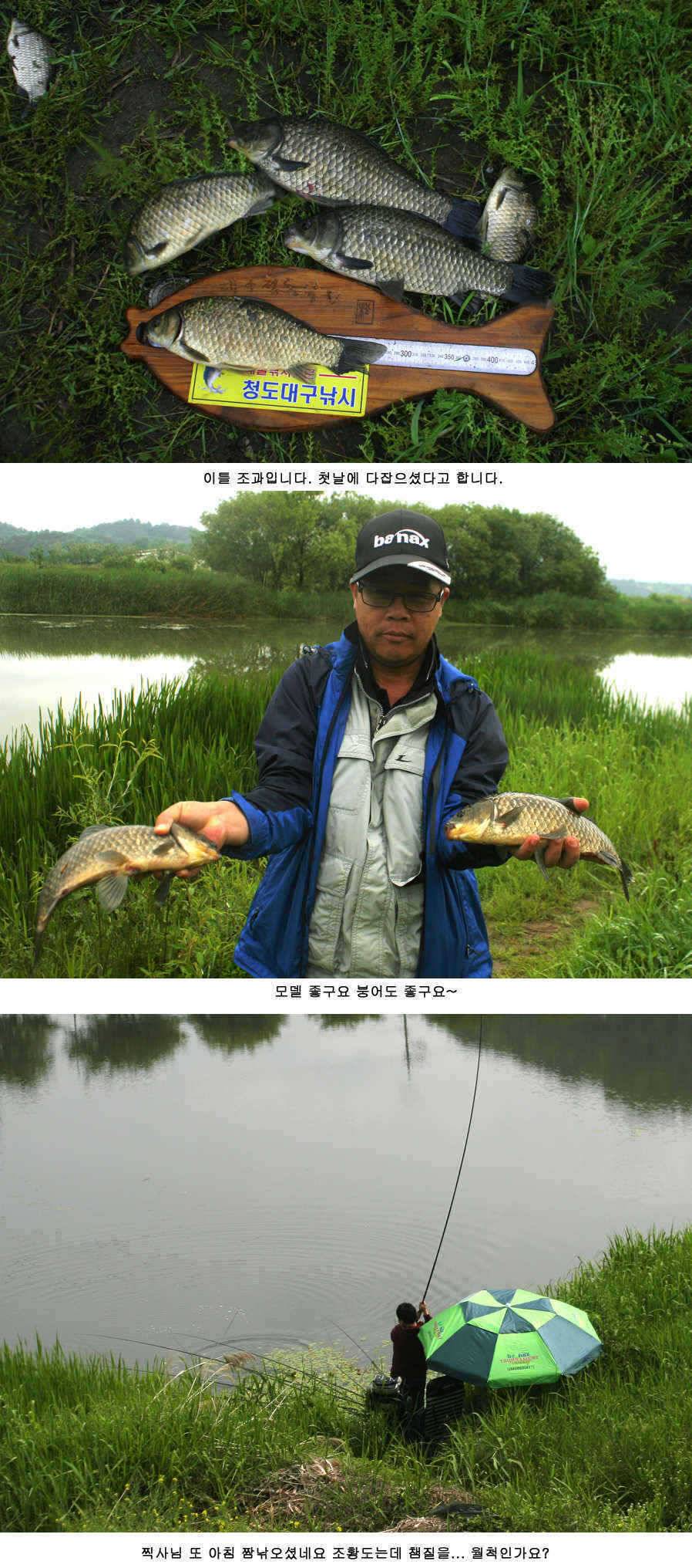 청도천 빵빵 터지고 있습니다 (조황조행기 - 특파원조황)