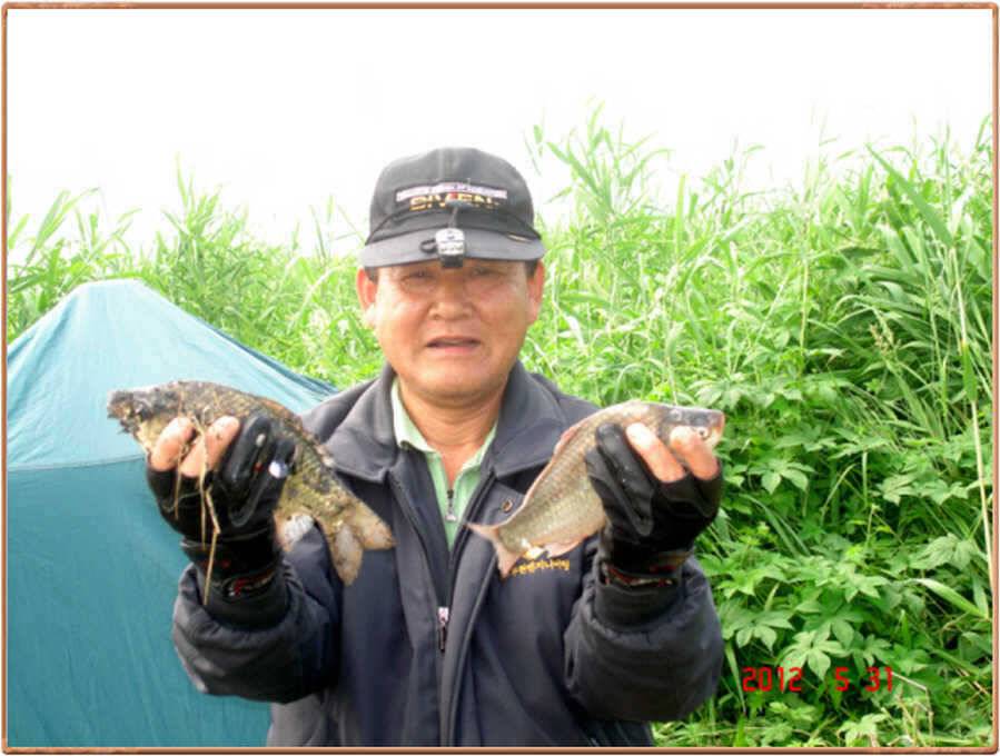 진위천 조황이 살아나네요 (조황조행기 - 특파원조황)