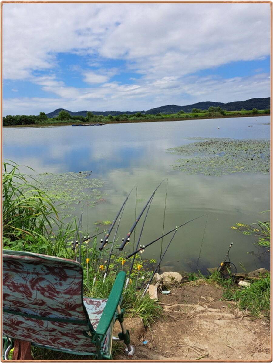 진위천 평택호 조황 (조황조행기 - 특파원조황)