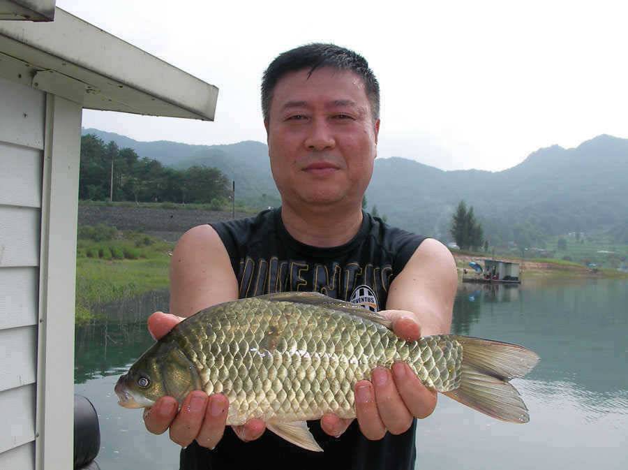 충주호 솔낚시터에서는 4자대물로 노지에서는 마릿수 대박을 이어갑니다 (조황조행기 - 특파원조황)