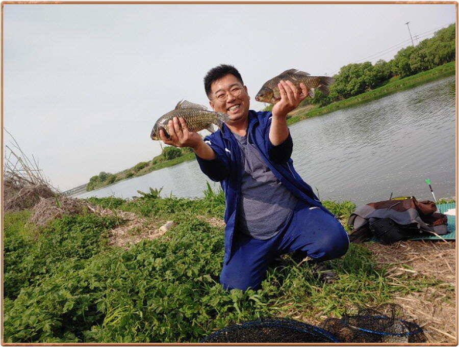 진위천 조황 소식 (조황조행기 - 특파원조황)