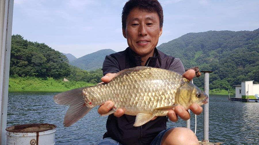 명서낚시터 395cm 외 허리급 조황입니다 (조황조행기 - 특파원조황)