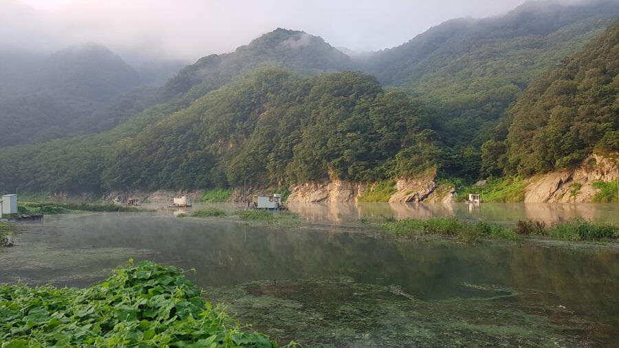 목벌낚시터 대물붕어와 살아나는 장어조황 명서낚시터4짜 대물붕어 소식입니다 (조황조행기 - 특파원조황)
