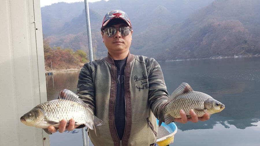막바지를 달리고 있는 붕어낚시 명서낚시터 조황입니다 (조황조행기 - 특파원조황)