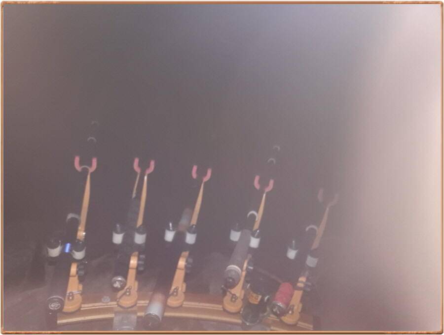 진위천 평택호 조황 (조황조행기 - 특파원조황)