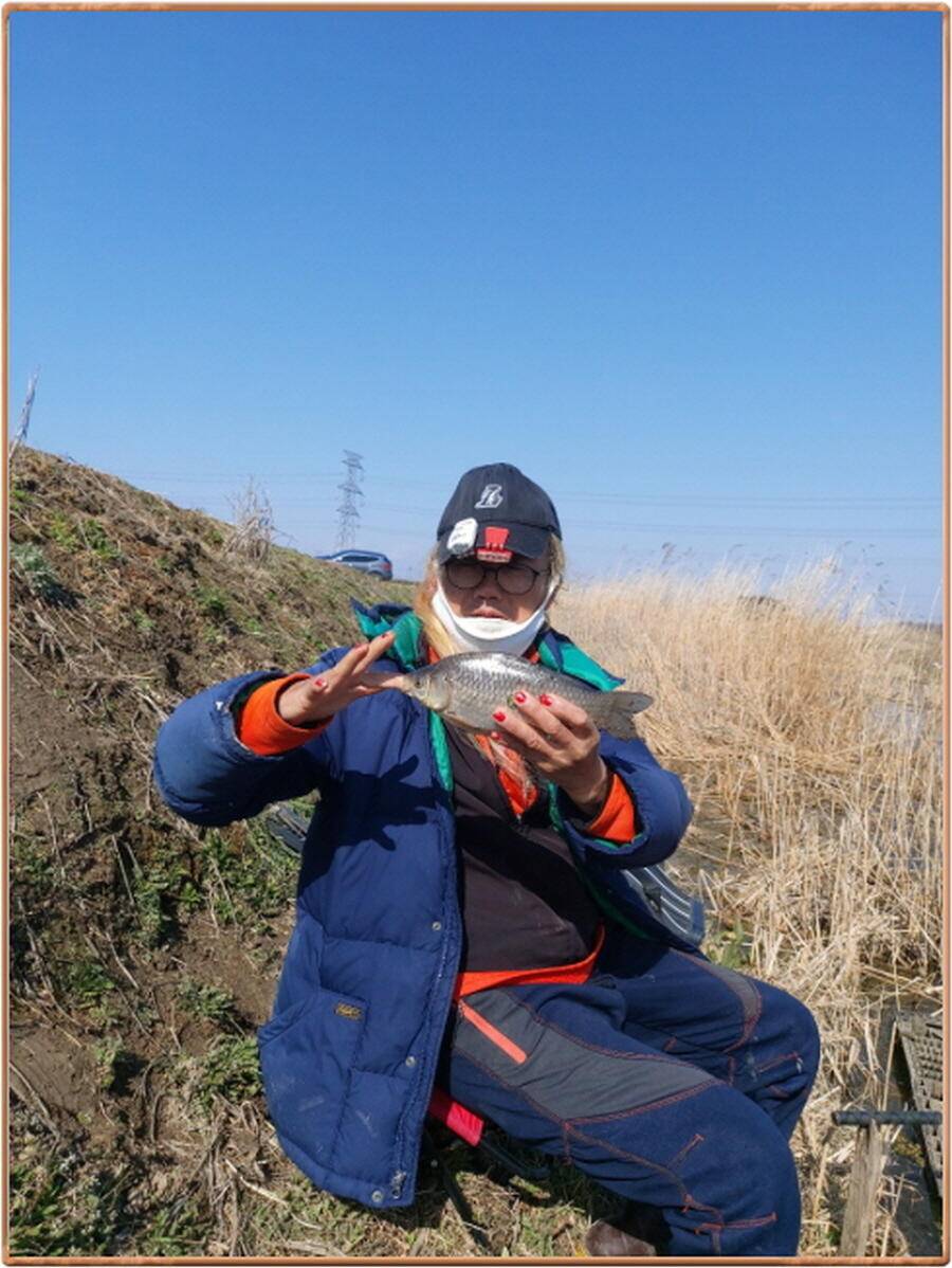 진위천 평택호 조황 (조황조행기 - 특파원조황)