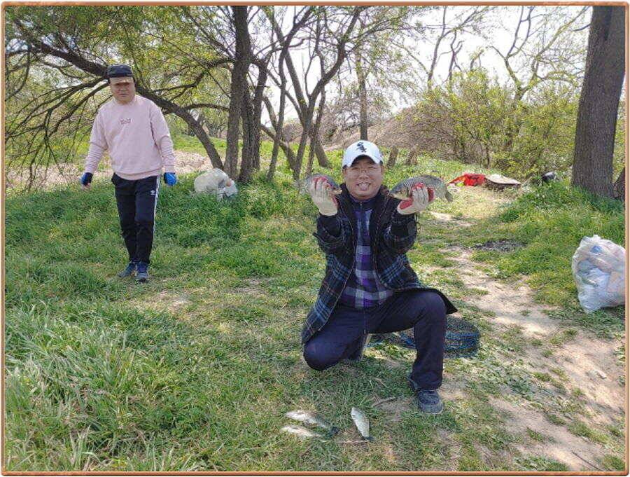 진위천 조황 소식 (조황조행기 - 특파원조황)