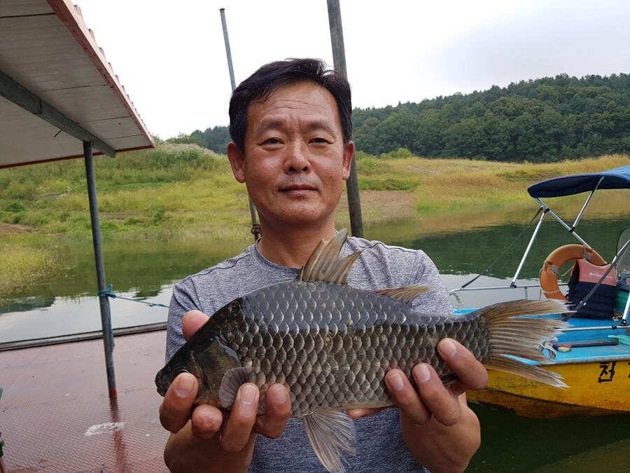 하천낚시터 허리급 붕어 조황 (조황조행기 - 특파원조황)