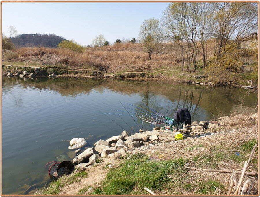 진위천 조황 소식 (조황조행기 - 특파원조황)