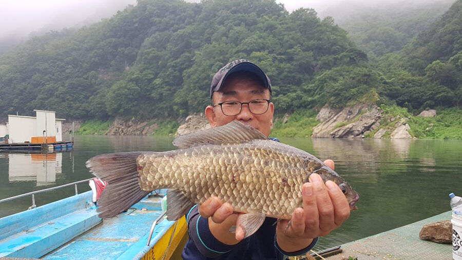 명서낚시터 4짜에 허리급 월척조황 (조황조행기 - 특파원조황)