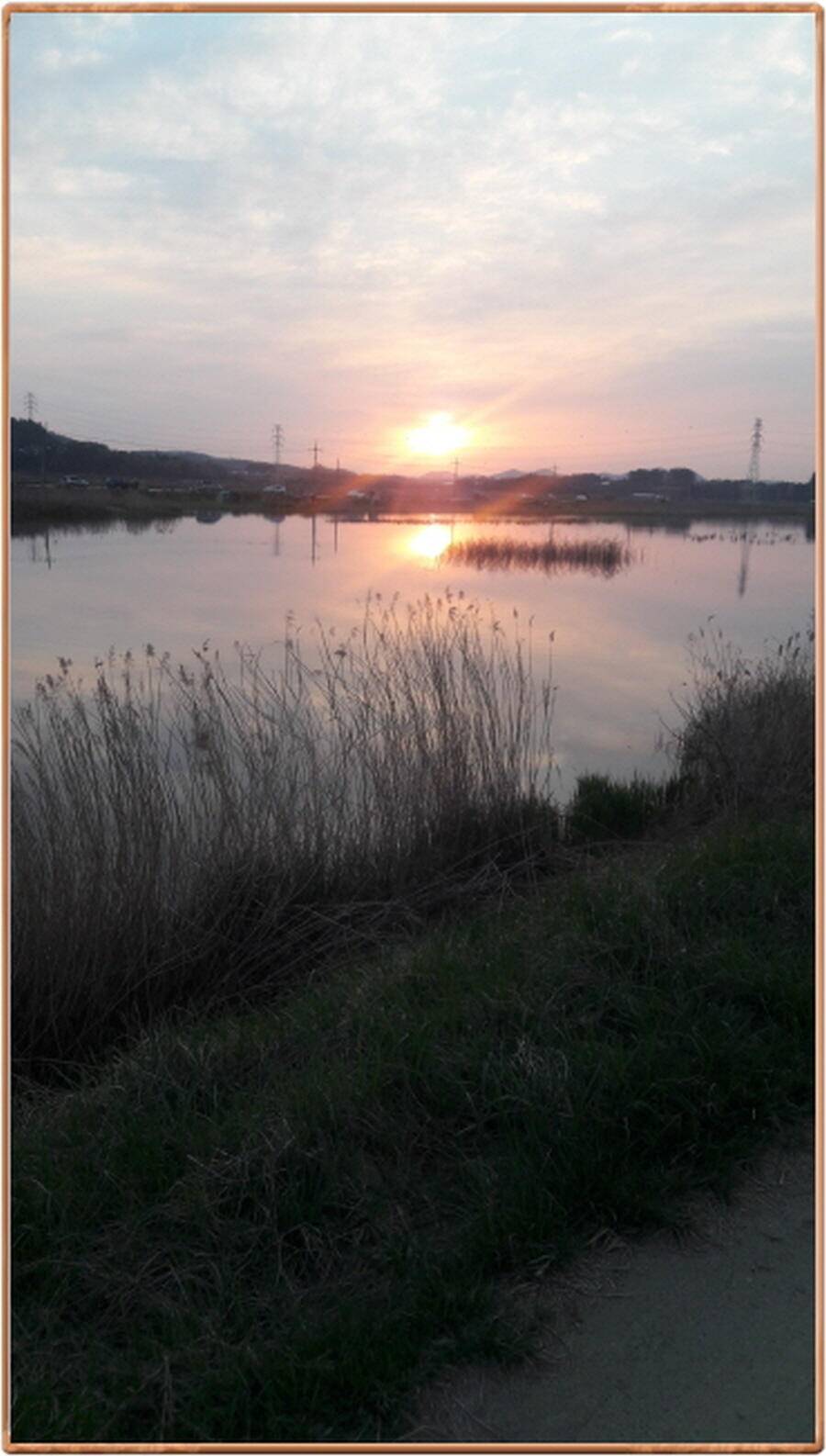진위천 평택호 조황 (조황조행기 - 특파원조황)