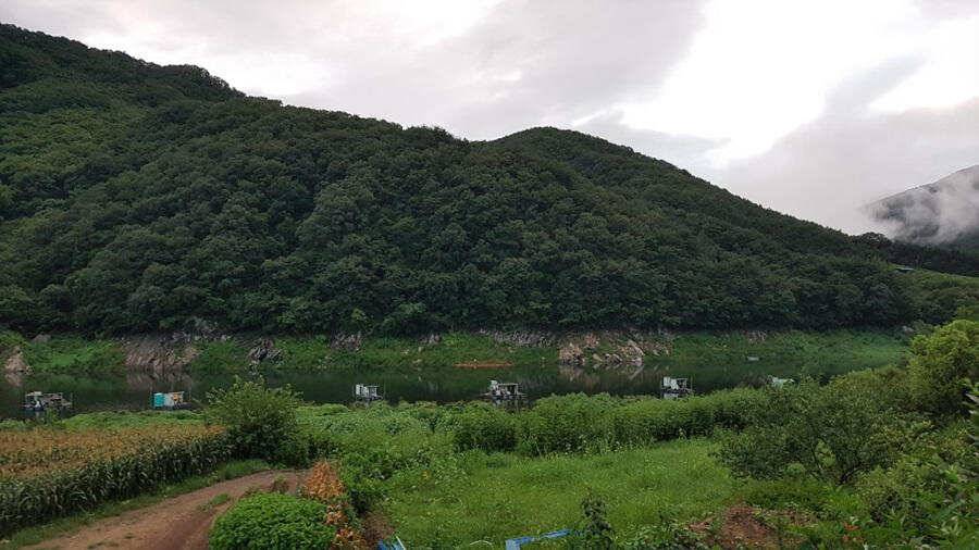 명서낚시터 4짜에 허리급 월척조황 (조황조행기 - 특파원조황)