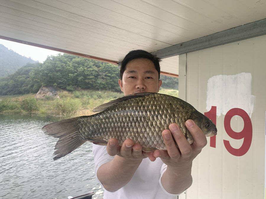 하천낚시터 42 42 41 405cm 대물붕어 소식 (조황조행기 - 특파원조황)