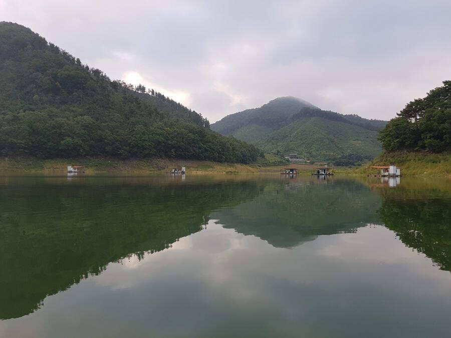 하천낚시터 허리급 붕어 조황 (조황조행기 - 특파원조황)