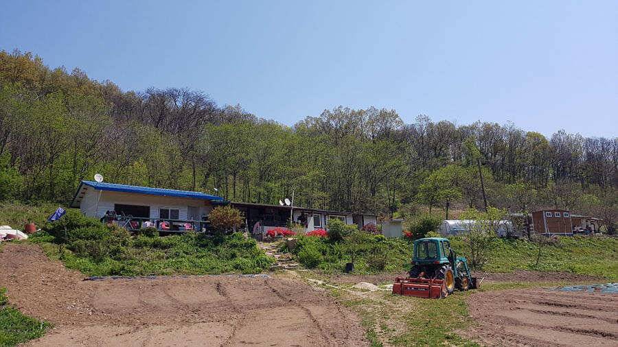 명서낚시터 4짜 대물붕어 조황입니다 (조황조행기 - 특파원조황)