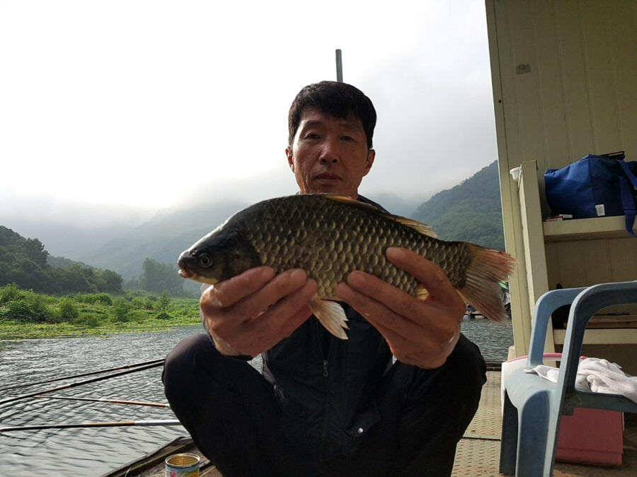 명서낚시터 395cm 외 허리급 조황입니다 (조황조행기 - 특파원조황)