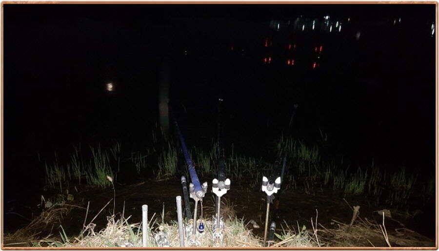 진윛천 조황 소식 (조황조행기 - 특파원조황)