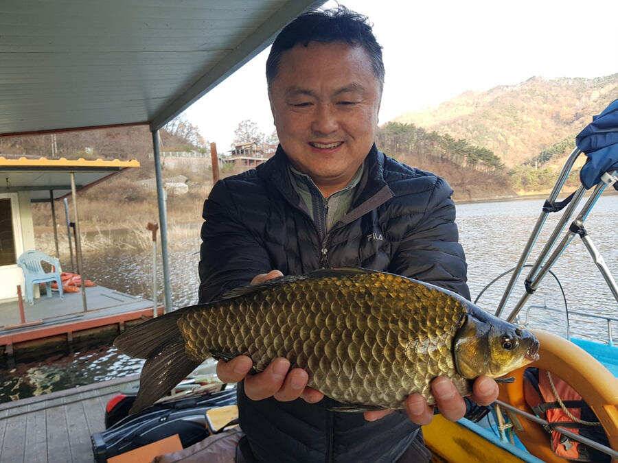 하천낚시터 초겨울에 올린 39cm 대물급붕어 조황 (조황조행기 - 특파원조황)