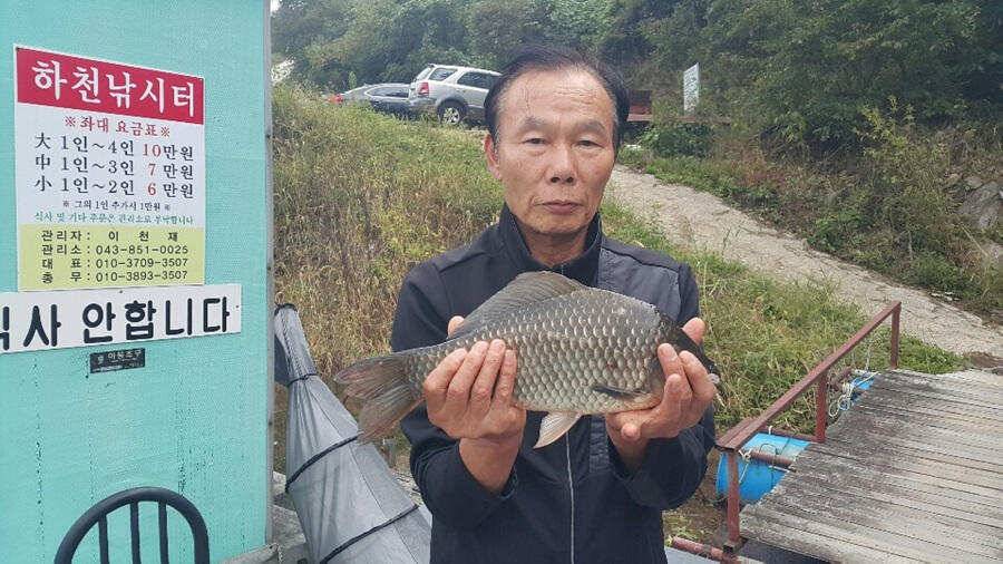 하천낚시터 40 43cm 대물붕어 서유석낚시터 장어소식6일조황 (조황조행기 - 특파원조황)