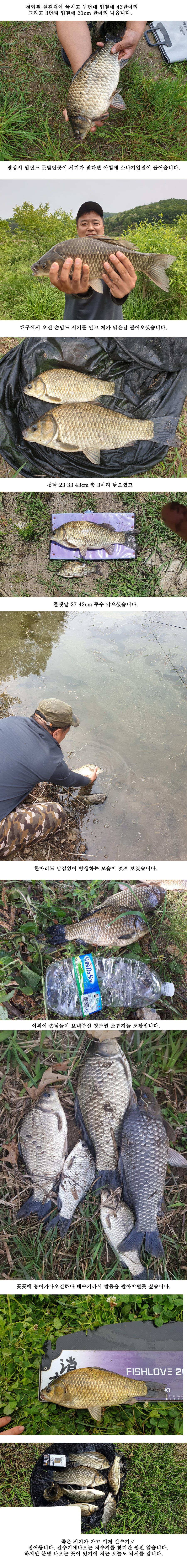 청도권 4짜가 줄줄이나왔습니다 (조황조행기 - 특파원조황)