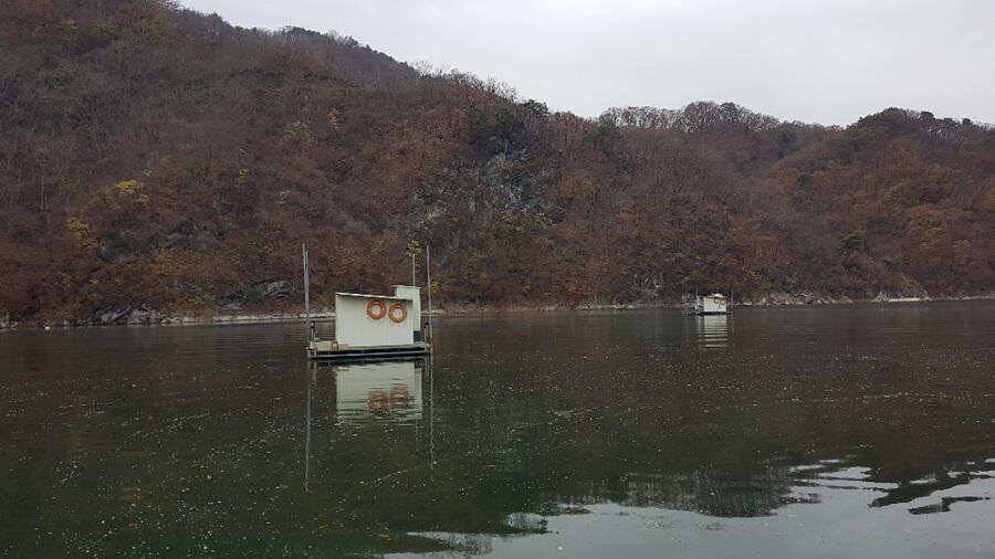 막바지를 달리고 있는 붕어낚시 명서낚시터 조황입니다 (조황조행기 - 특파원조황)