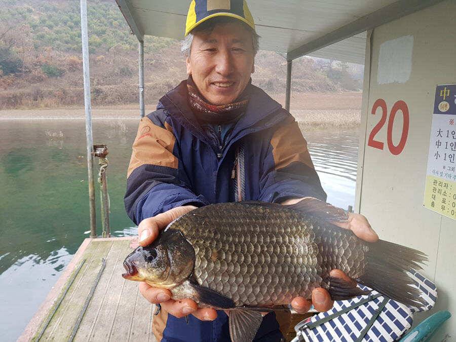 하천낚시터 37cm 허리급 조황 (조황조행기 - 특파원조황)