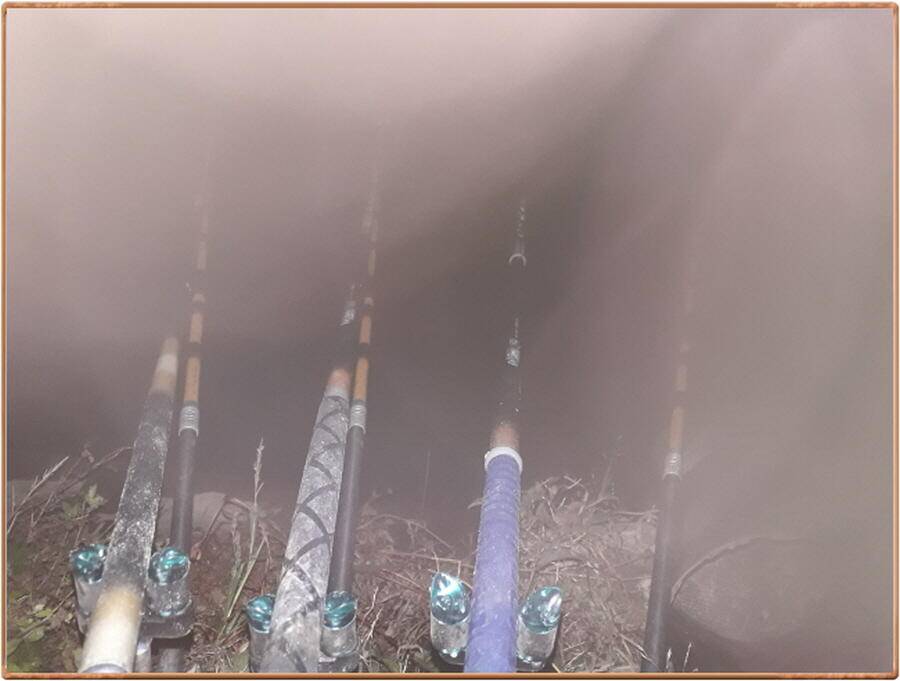 진위천 평택호 조황 (조황조행기 - 특파원조황)