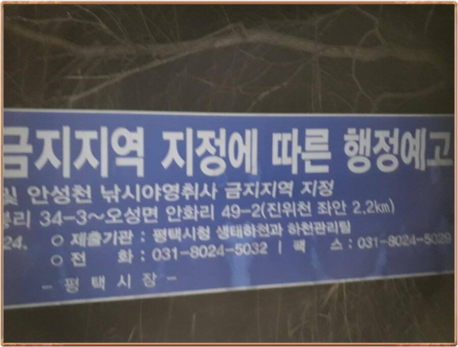 진위천 조황 소식 (조황조행기 - 특파원조황)