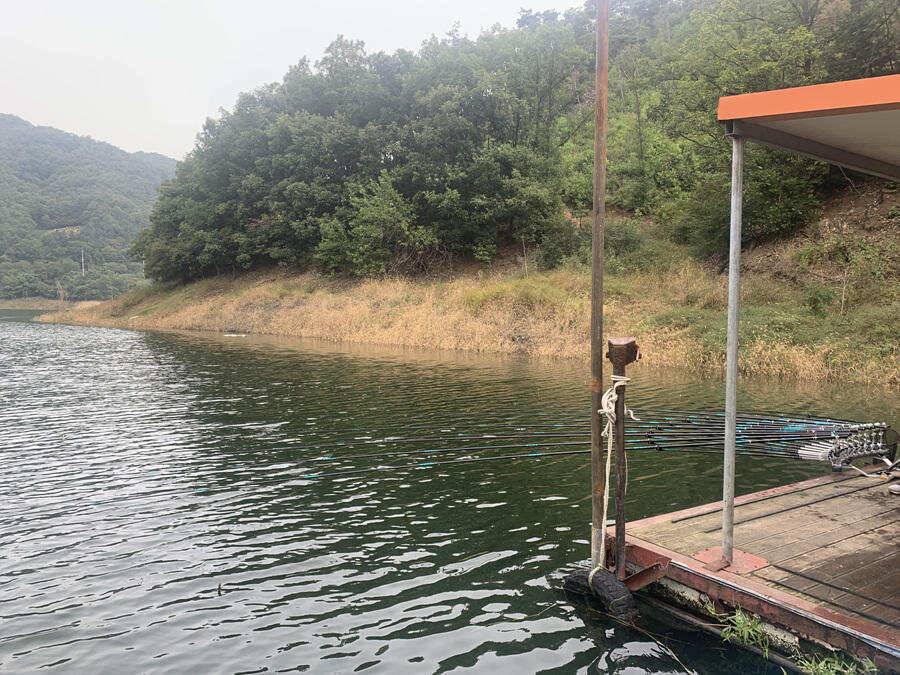하천낚시터 42 42 41 405cm 대물붕어 소식 (조황조행기 - 특파원조황)