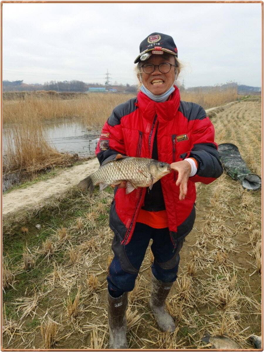 진위천 평택호 조황 (조황조행기 - 특파원조황)