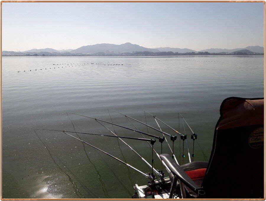 진위천 조황 소식 (조황조행기 - 특파원조황)