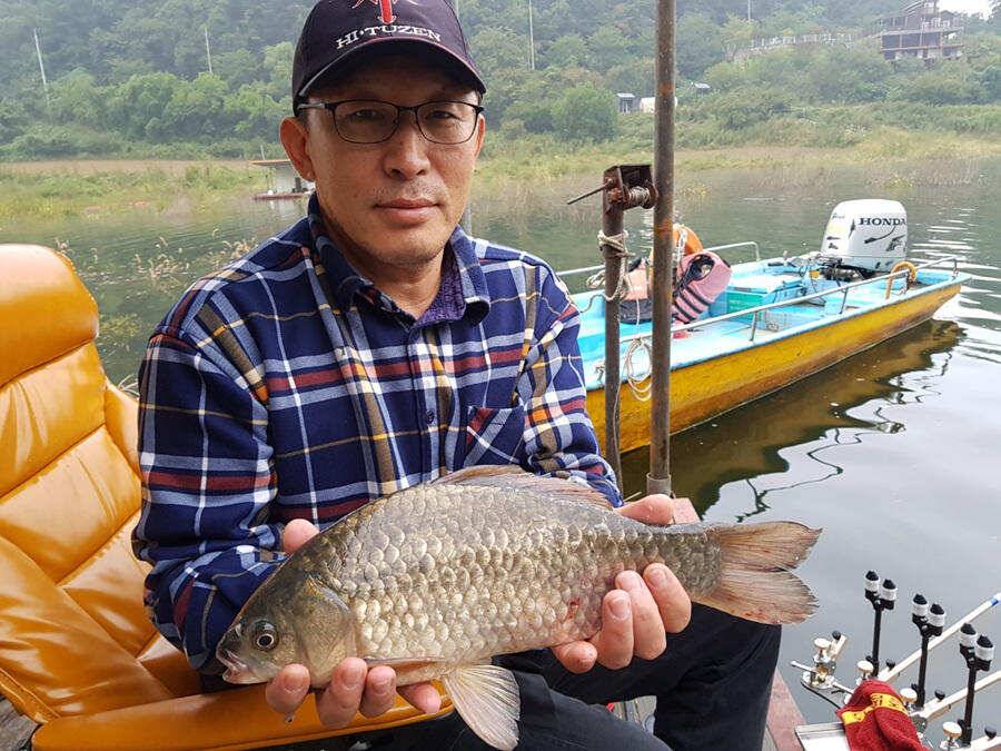 하천낚시터 42 42 41 405cm 대물붕어 소식 (조황조행기 - 특파원조황)