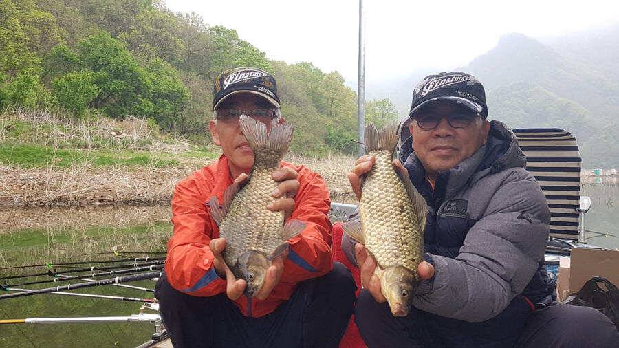 명서낚시터 4짜 대물붕어 조황입니다 (조황조행기 - 특파원조황)