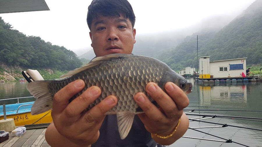 명서낚시터 4짜에 허리급 월척조황 (조황조행기 - 특파원조황)