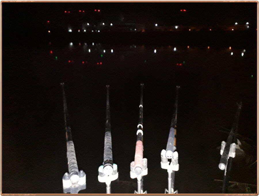 진위천 조황 소식 (조황조행기 - 특파원조황)
