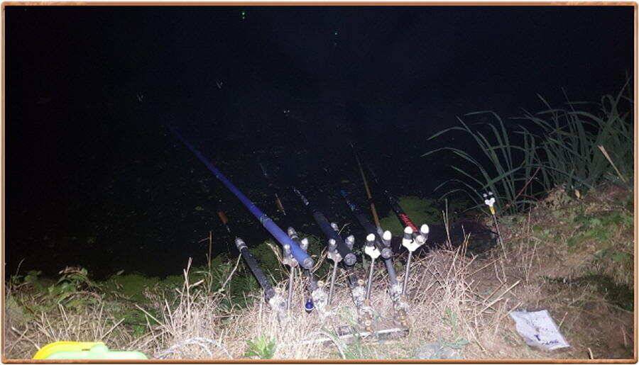 진위천 소식 (조황조행기 - 특파원조황)