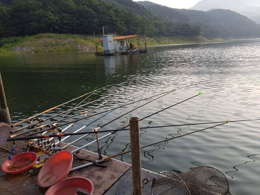 하천낚시터 조황입니다 (조황조행기 - 특파원조황)