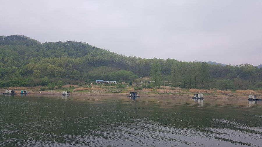명서낚시터 4짜 대물붕어 조황입니다 (조황조행기 - 특파원조황)