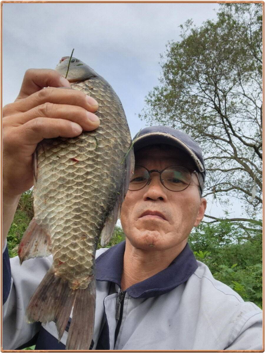 진위천 평택호 조황 (조황조행기 - 특파원조황)