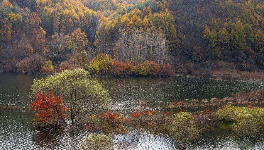 막바지를 달리고 있는 붕어낚시 명서낚시터 조황입니다 (조황조행기 - 특파원조황)